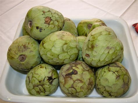 cherimoya.