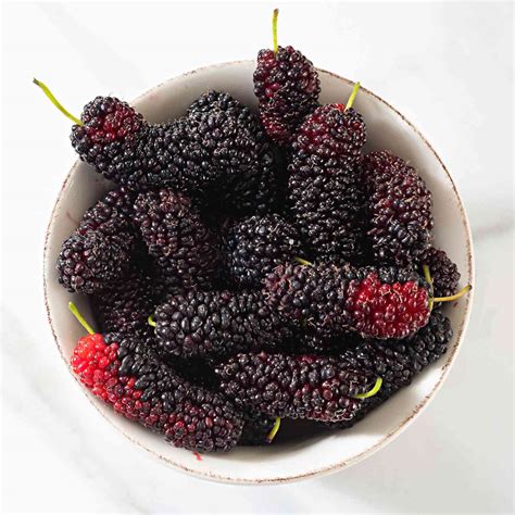 mulberries.