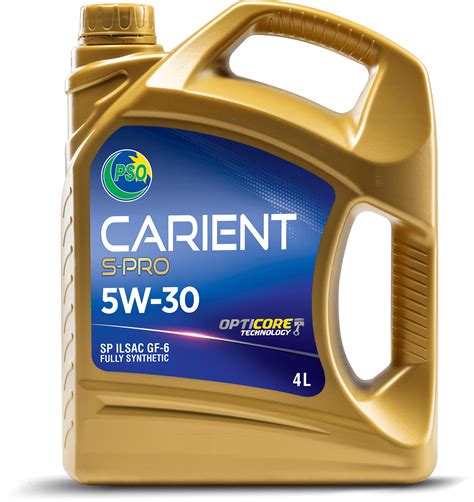 www.carient.com.